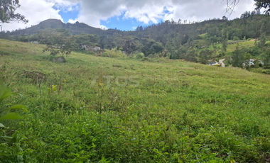 finca en venta en soleres. Cod V5768