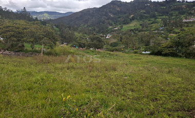 finca en venta en soleres. Cod V5768