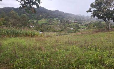 finca en venta en soleres. Cod V5768