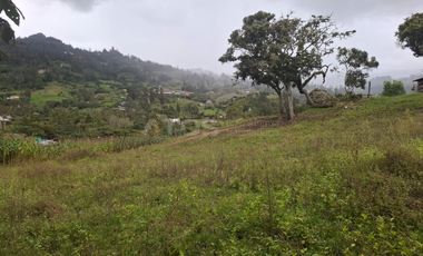 finca en venta en soleres. Cod V5768