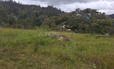 finca en venta en soleres. Cod V5768