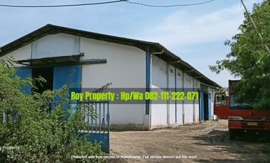 Dijual Cepat Gudang Marunda Cilincing Jakut 3.150 m2 MURAH