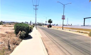 Terreno colindante a la nueva Walmart del Blvd. Lázaro Cárdenas en Mexicali