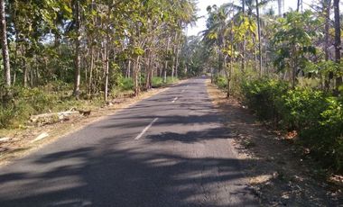 rumah etnik sumilir regency dekat kota wates kulon progo