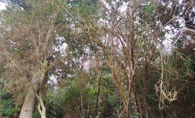 Sitio en Venta en Quebrada Verde