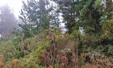 Sitio en Venta en Quebrada Verde