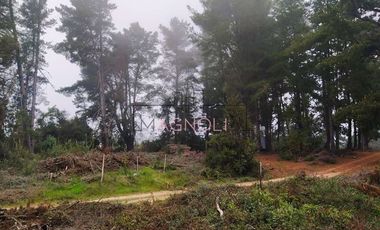 Sitio en Venta en Quebrada Verde