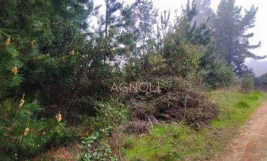 Sitio en Venta en Quebrada Verde