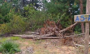 Sitio en Venta en Quebrada Verde