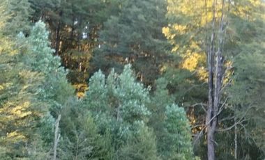 Parcela en Venta en Camino Villarica Panguipulli Km 19 J80