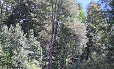 Parcela en Venta en Camino Villarica Panguipulli Km 19 J80