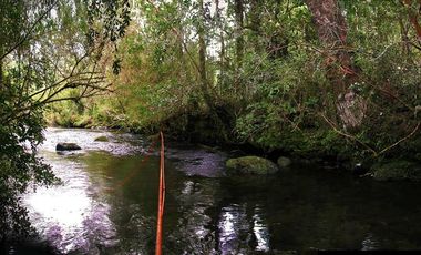 Parcela en Venta en Camino Villarica Panguipulli Km 19 J80