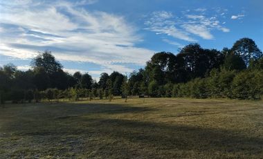 Parcela en Venta en Camino Villarica Panguipulli Km 19 J80