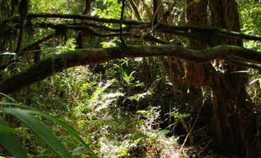 Parcela en Venta en Camino Villarica Panguipulli Km 19 J80