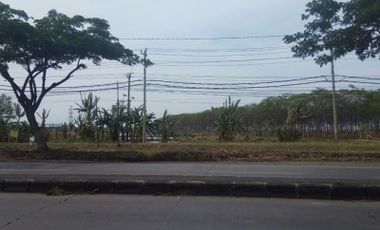 Tanah Lokasi Top Siap Bangun di Jalan Raya Semarang Demak Sayung