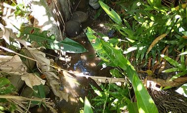 casa en venta en bocono. Cod V2418