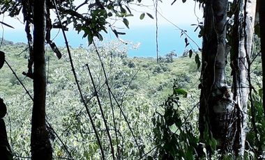 Se Vende Terreno para Desarrollar Cerca del Mar en Salango