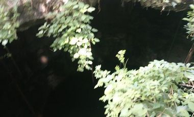 Espectacular Terreno en venta con 3 cenotes.