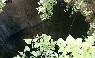 Espectacular Terreno en venta con 3 cenotes.