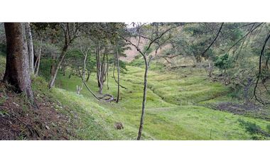 Finca Independiente Vereda Bella Vista Guarne