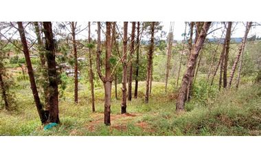 Finca Independiente Vereda Bella Vista Guarne