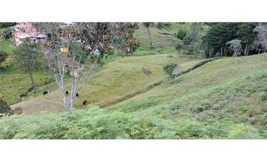 Finca Independiente Vereda Bella Vista Guarne