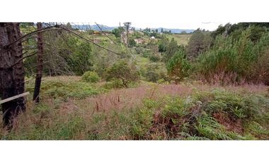 Finca Independiente Vereda Bella Vista Guarne