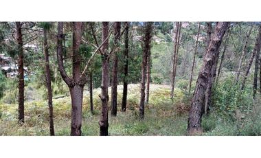 Finca Independiente Vereda Bella Vista Guarne