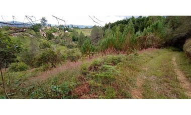 Finca Independiente Vereda Bella Vista Guarne