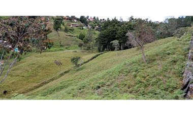 Finca Independiente Vereda Bella Vista Guarne