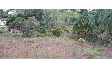 Finca Independiente Vereda Bella Vista Guarne