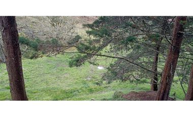 Finca Independiente Vereda Bella Vista Guarne