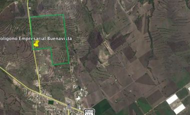 Terreno Industrial en Venta 'Poligono Empresarial Buena Vista', Buenavista