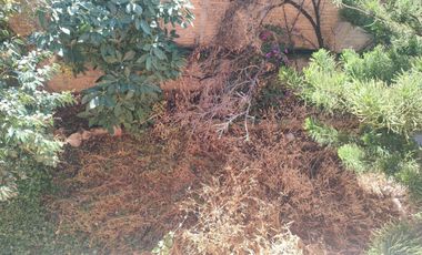 Casa en venta cerro del cuarto Guanajuato