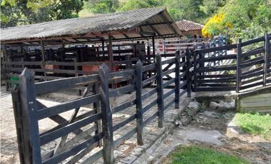VENTA DE FINCA GANADERA, VALPARAISO, SUROESTE ANTIOQUEÑO