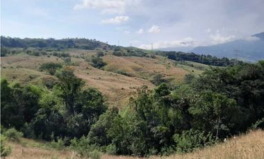 VENTA DE FINCA GANADERA, VALPARAISO, SUROESTE ANTIOQUEÑO
