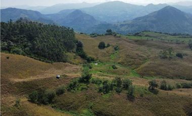 VENTA DE FINCA GANADERA, VALPARAISO, SUROESTE ANTIOQUEÑO