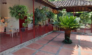 VENTA DE FINCA GANADERA, VALPARAISO, SUROESTE ANTIOQUEÑO