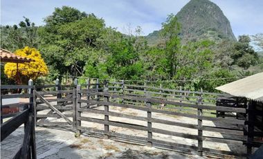 VENTA DE FINCA GANADERA, VALPARAISO, SUROESTE ANTIOQUEÑO
