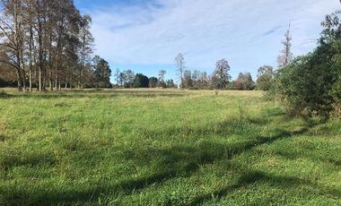 Sitio en Venta en Crucero Río Bueno