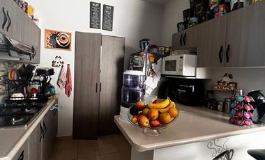 DEPARTAMENTO EN RENTA EN LOMA DEL CARMEN  RESIDENCIAL LA REALEZA