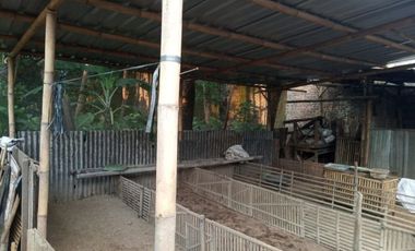 Dijual Cepat Rumah Beserta Tanah Pekarangannya Di Salatiga