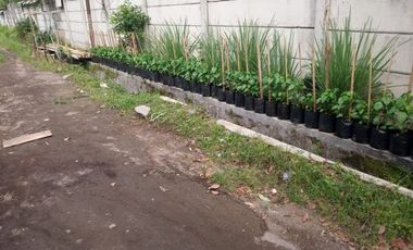 Dijual Cepat Rumah Beserta Tanah Pekarangannya Di Salatiga