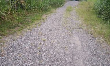 Dijual Cepat Rumah Beserta Tanah Pekarangannya Di Salatiga