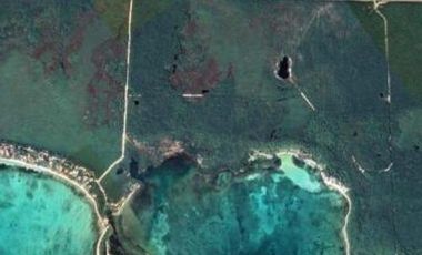 inviterte en una de las zonas mas bellas con selva y cenotes a 10 min de tulum