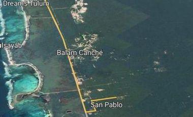 inviterte en una de las zonas mas bellas con selva y cenotes a 10 min de tulum