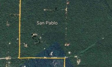 inviterte en una de las zonas mas bellas con selva y cenotes a 10 min de tulum