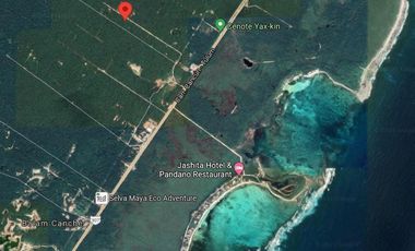 inviterte en una de las zonas mas bellas con selva y cenotes a 10 min de tulum