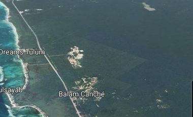 inviterte en una de las zonas mas bellas con selva y cenotes a 10 min de tulum