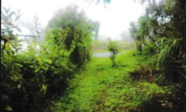 VENTA DE TERRENO EN VERAGUAS - SANTA FE 1 HECTARIA